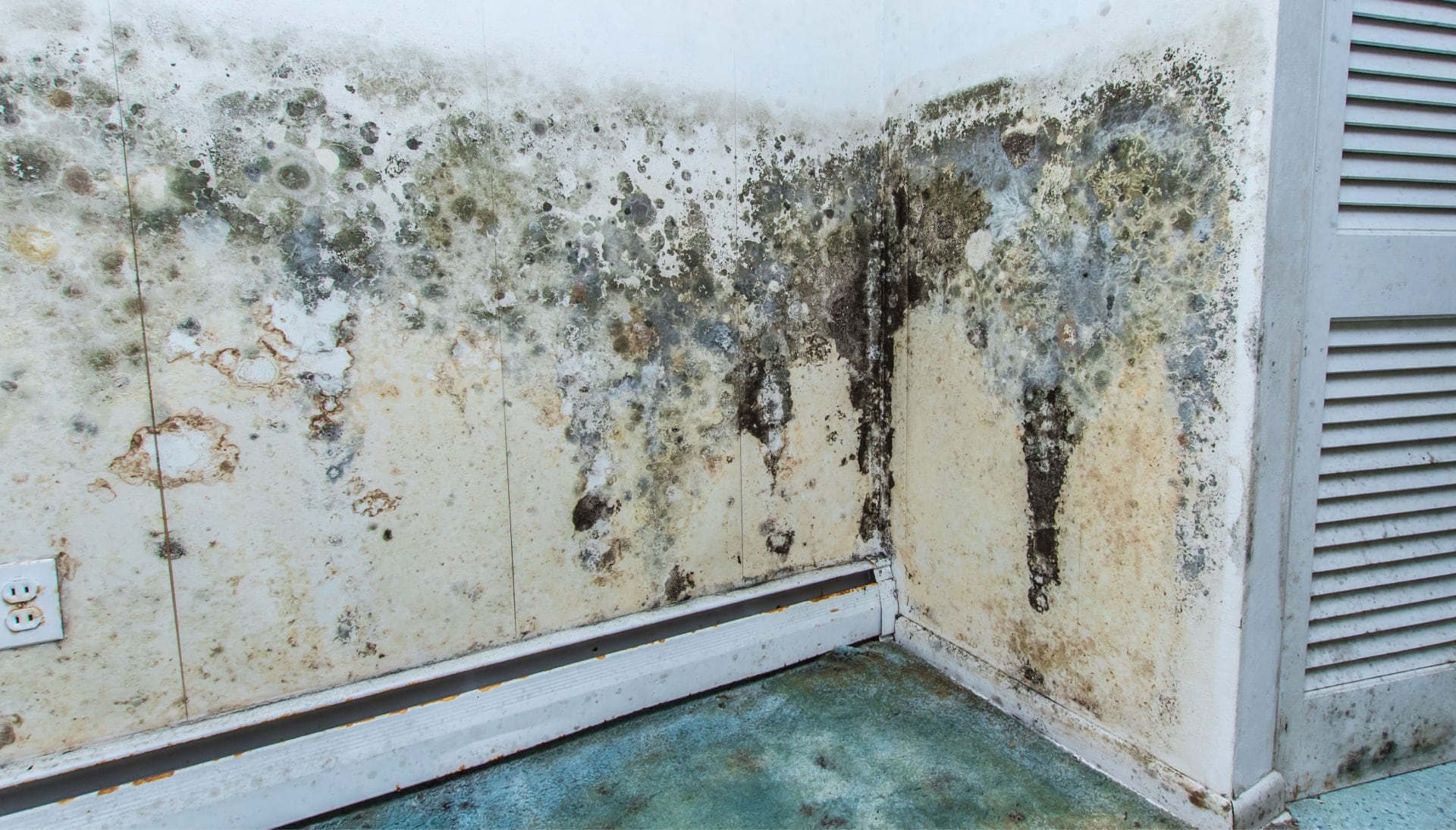 Professional mold removal, odor control, and water damage restoration service in Winnipeg, Missouri.