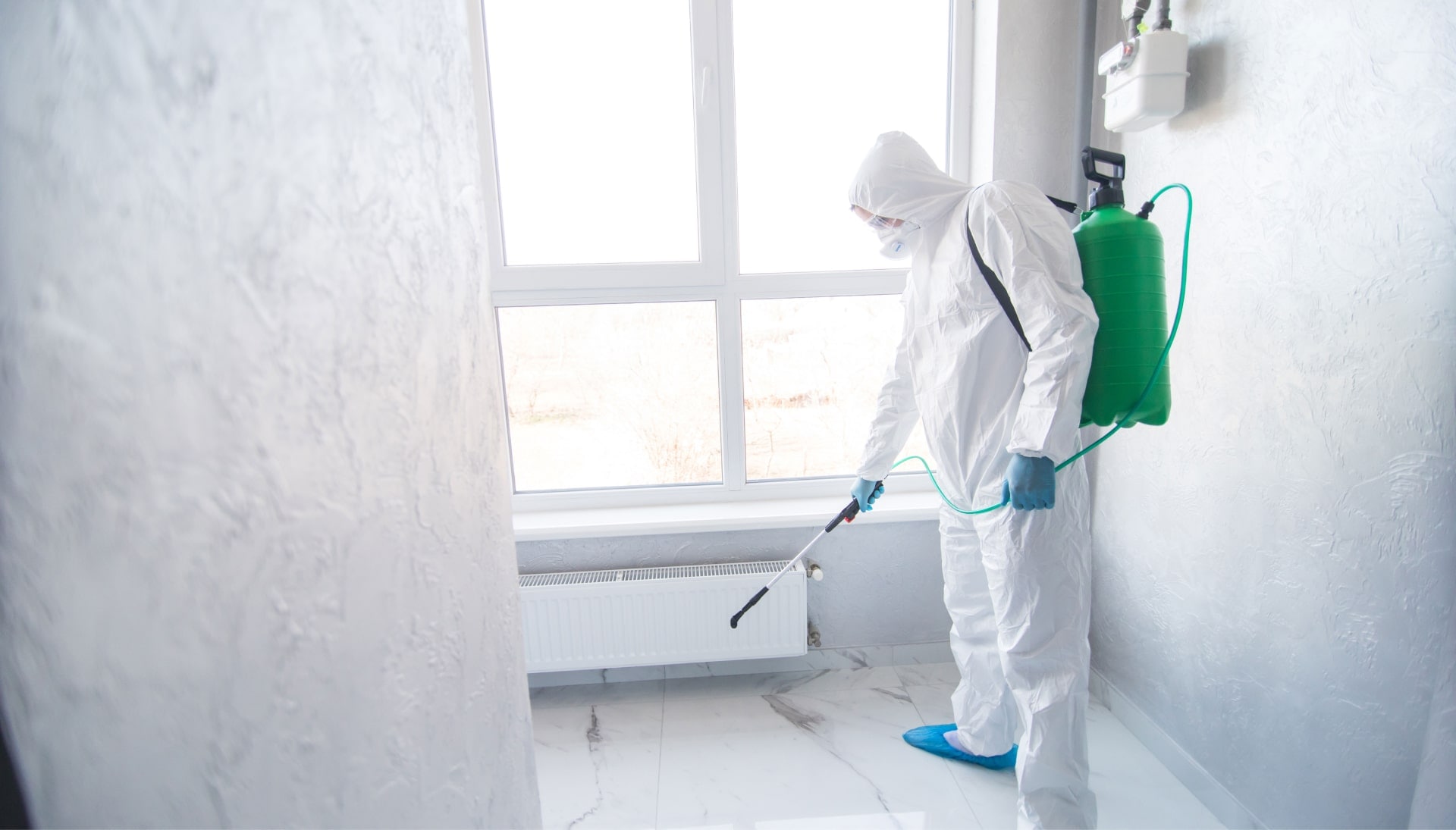 We provide the highest-quality mold inspection, testing, and removal services in the Winnipeg, Missouri area.